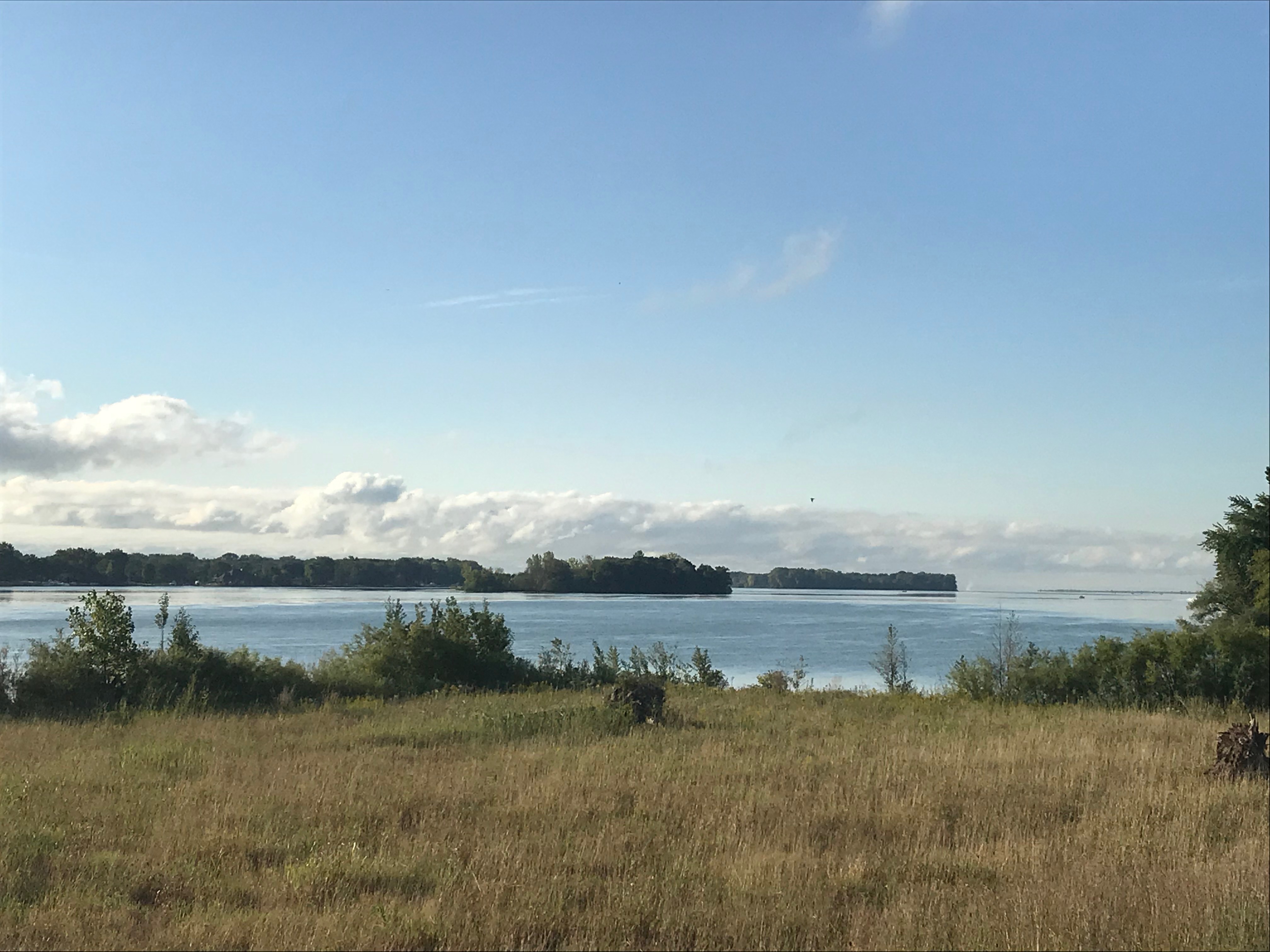 Detroit RiverWestern Lake Erie Cooperative Weed Management Area (DRWLE CWMA) The Detroit