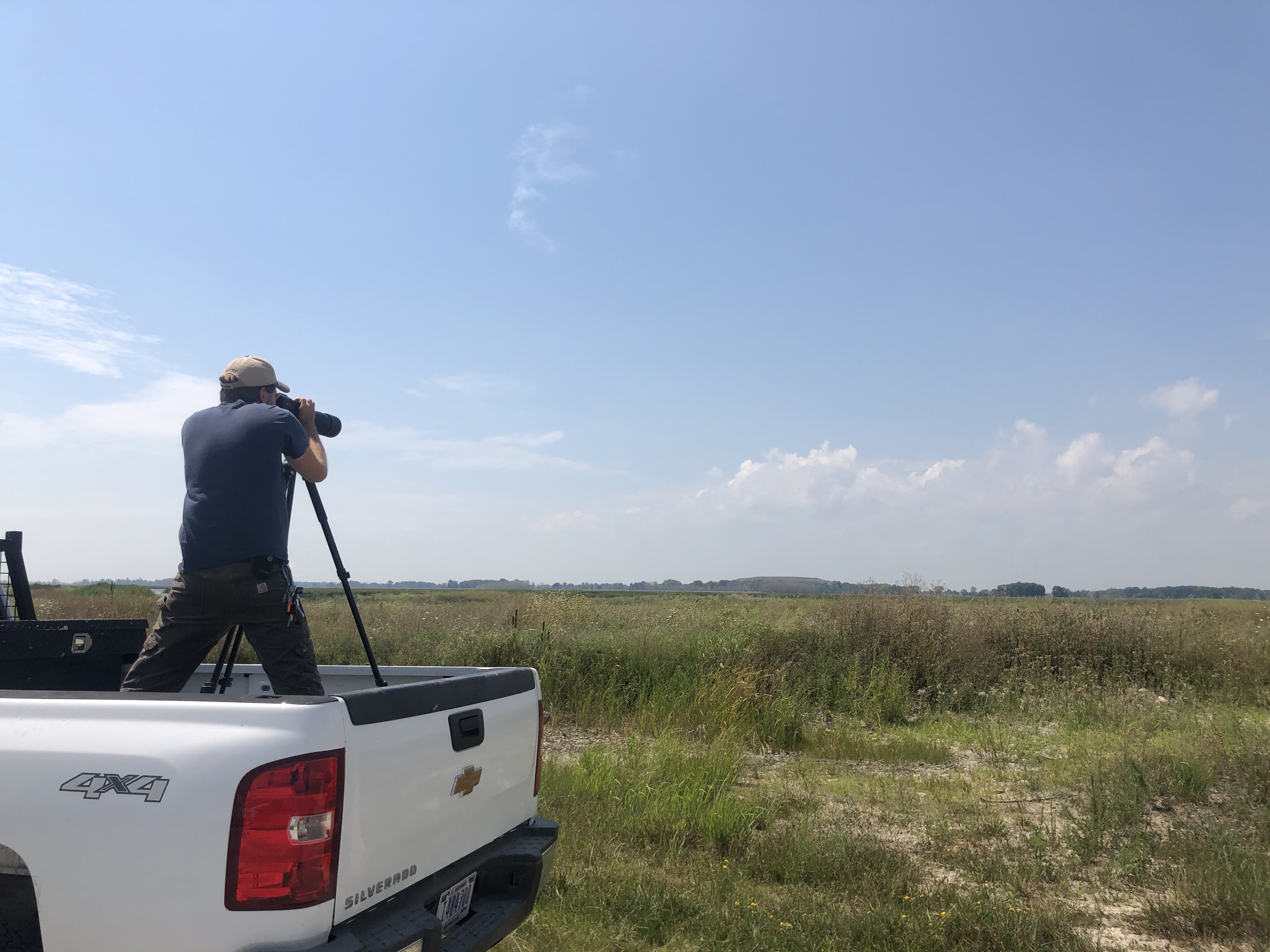 Technician surveying wetlands from stationary truck bed, with aid of spotting scope.
