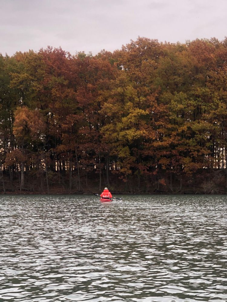 Technician sitting in a kayak on the Detroit River, in front of forested land mass in full autumn foliage