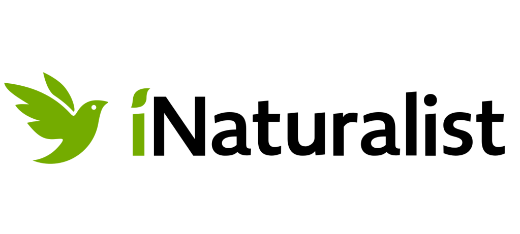 The iNaturalist logo