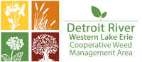 Detroit River-Western Lake Erie Cooperative Weed Management Area (DR-WLE CWMA)