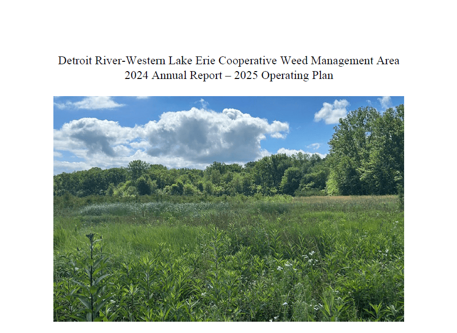 The cover of the  2024 annual report and 2025 operating plan.